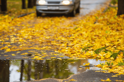 Potholes set to worsen in Autumn